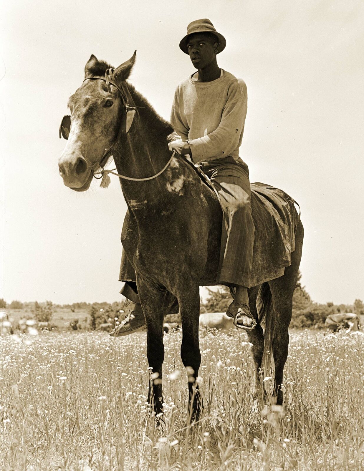 1941 African American Cowhand, Hale County, Alabama Old Photo 8.5\