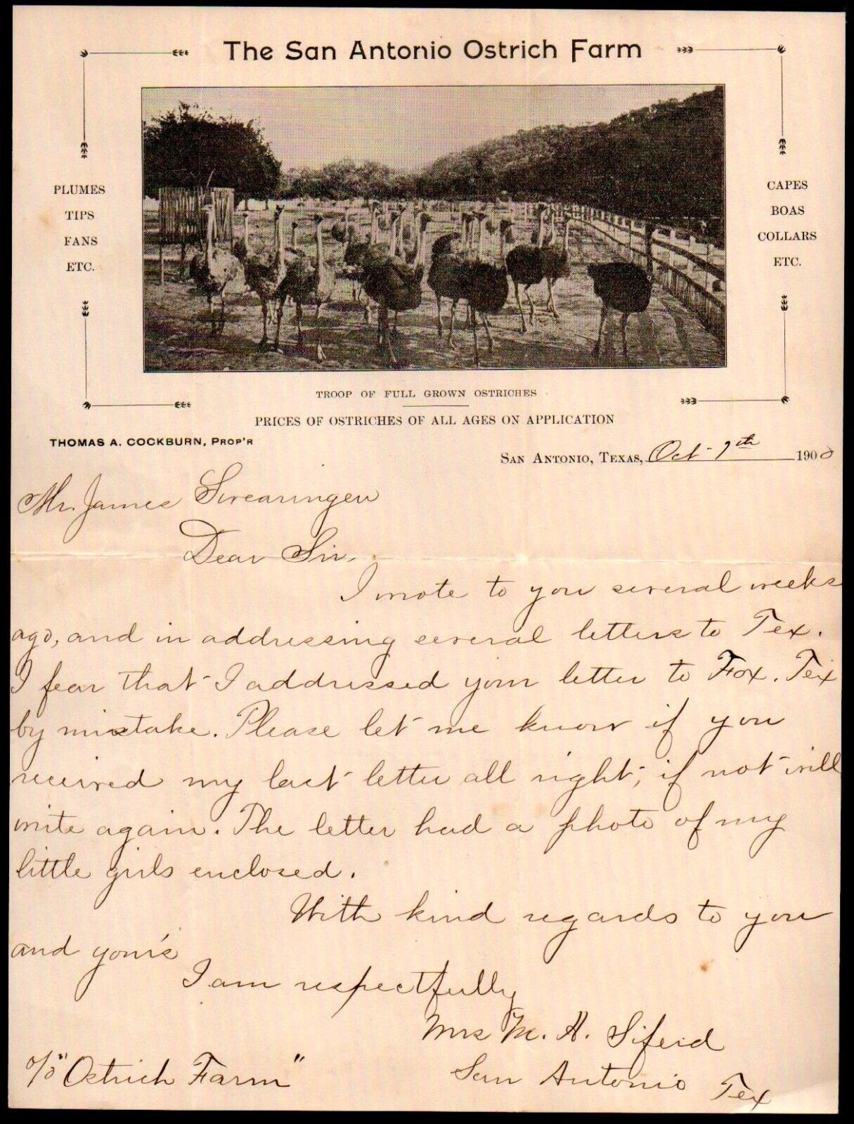 1908 Texas - San Antonio Ostrich Farm - Rare Letter Head Bill