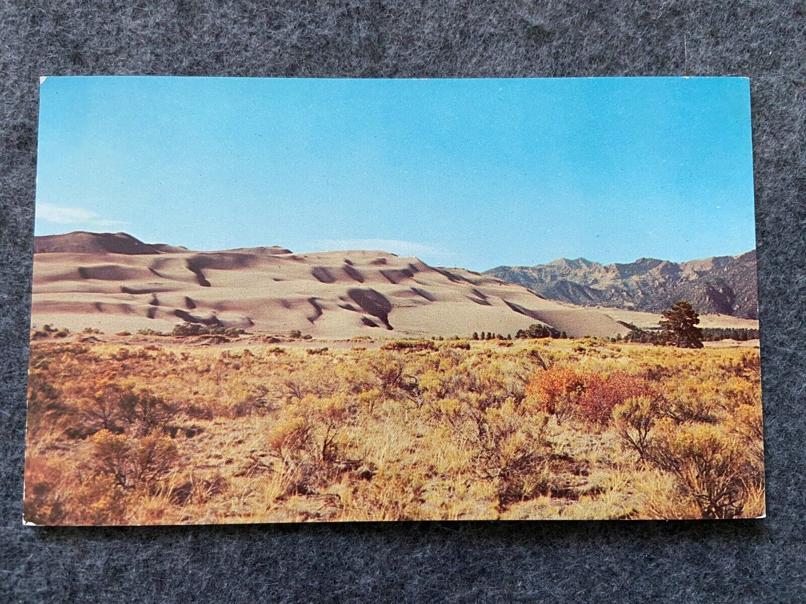 Great Sand Dunes National Monument in the San Luis Valley Vintage Postcard