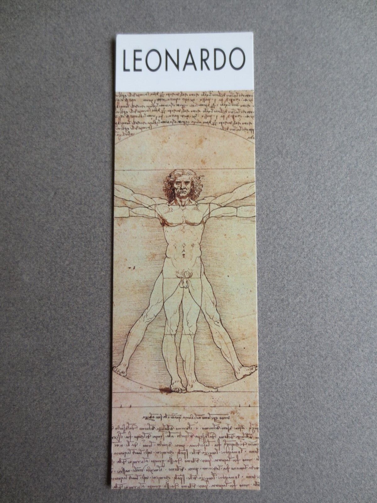 Art BOOKMARK LEONARDO da VINCI The Vitruvian Man Drawing Detail   Unused 