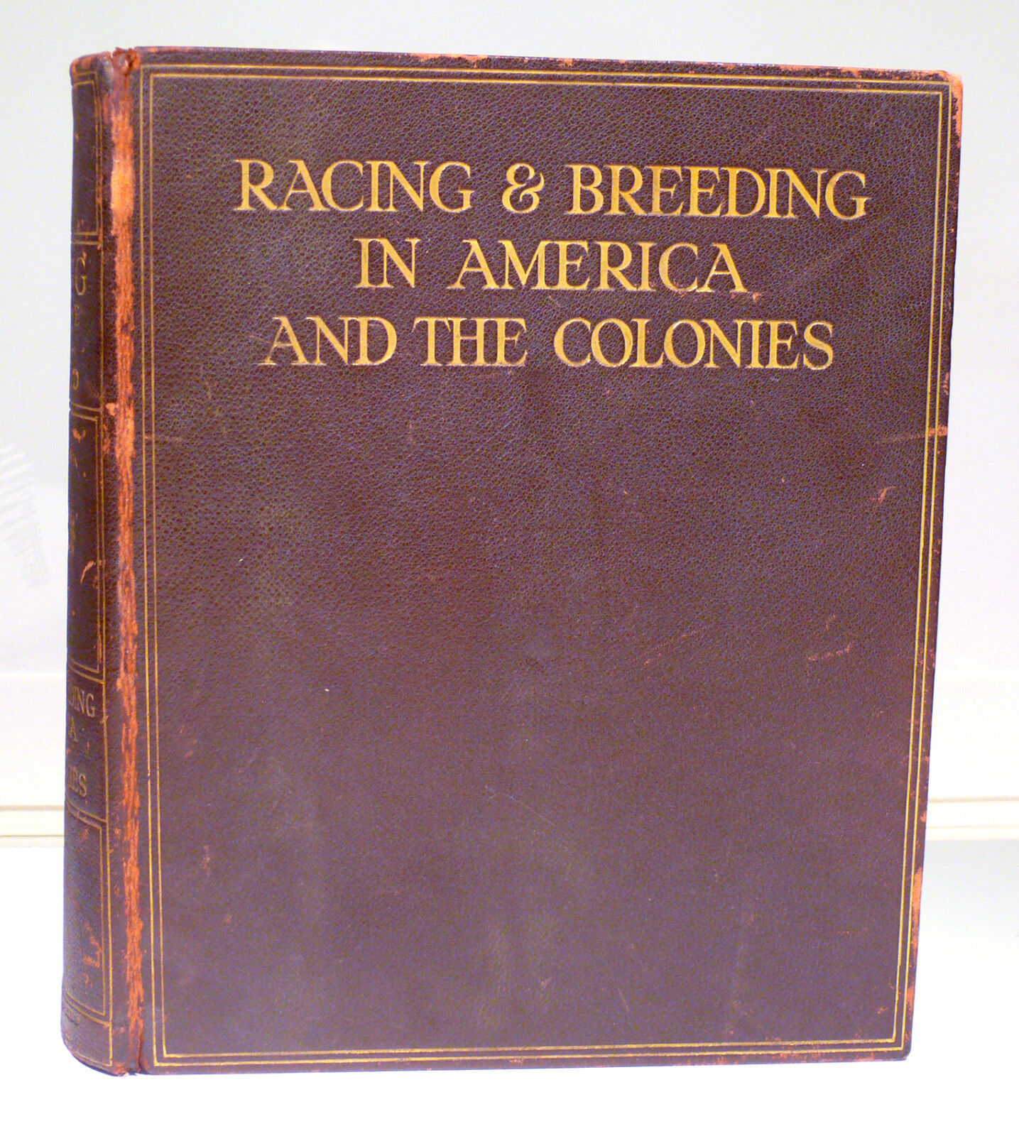 Horses: Racing & Breeding in America and the Colonies #458 1931, EQUESTRIAN BOOK