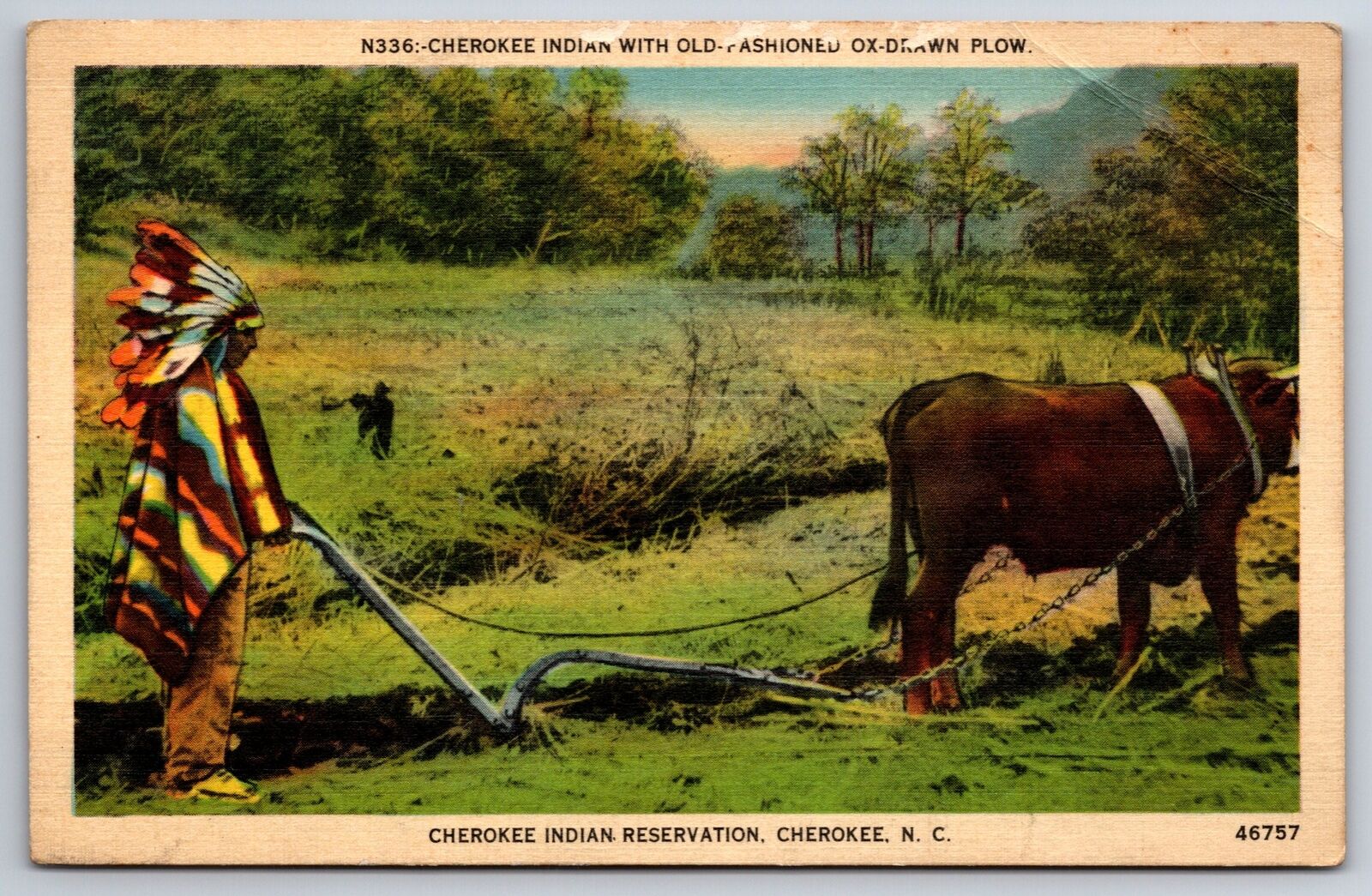 Native Americana~Cherokee North Carolina~Ox Drawn Plow On Reservation~Vintage PC