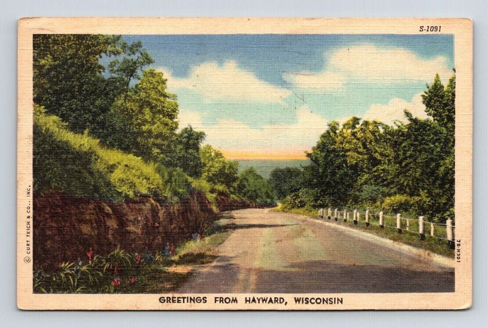 Greetings Hayward Wisconsin Forest Street View Linen Vintage WOB PM Postcard
