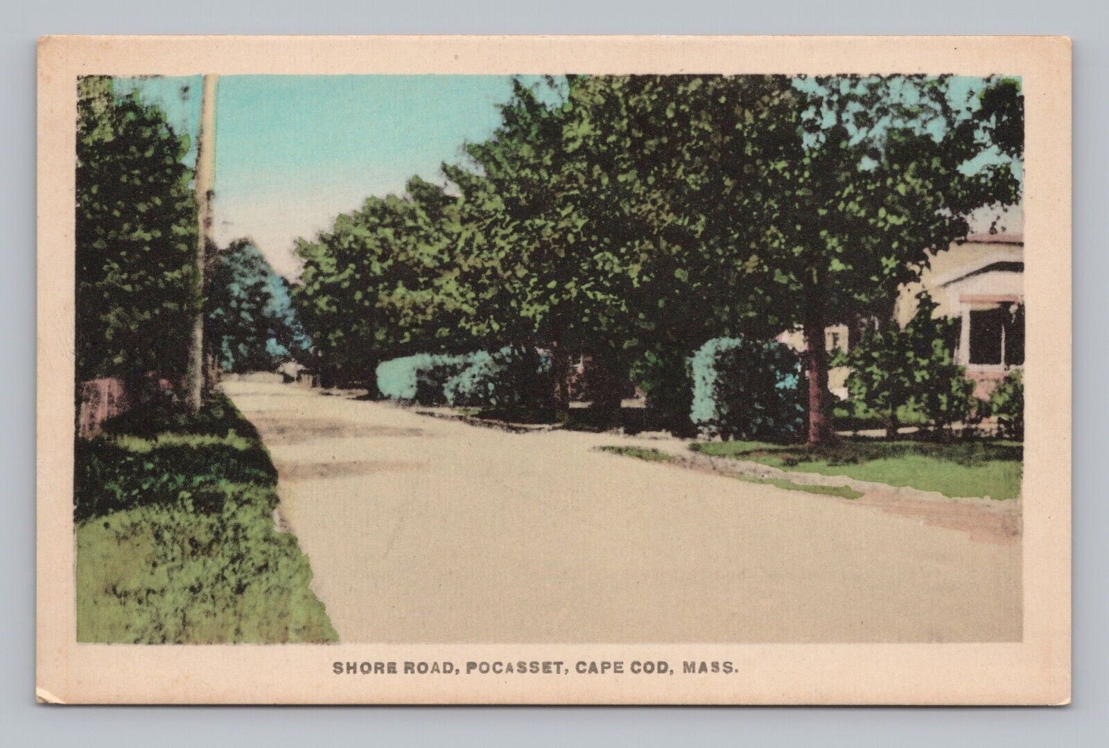 Postcard Shore Road Pocasset Cape Cod Massachusetts Hand Colored