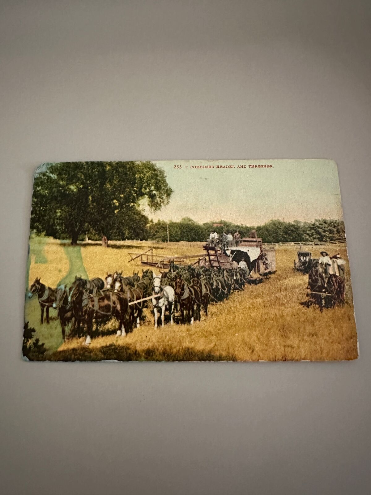 Antique Early 1900’s Postcard - 253 Combined Header and Thresher