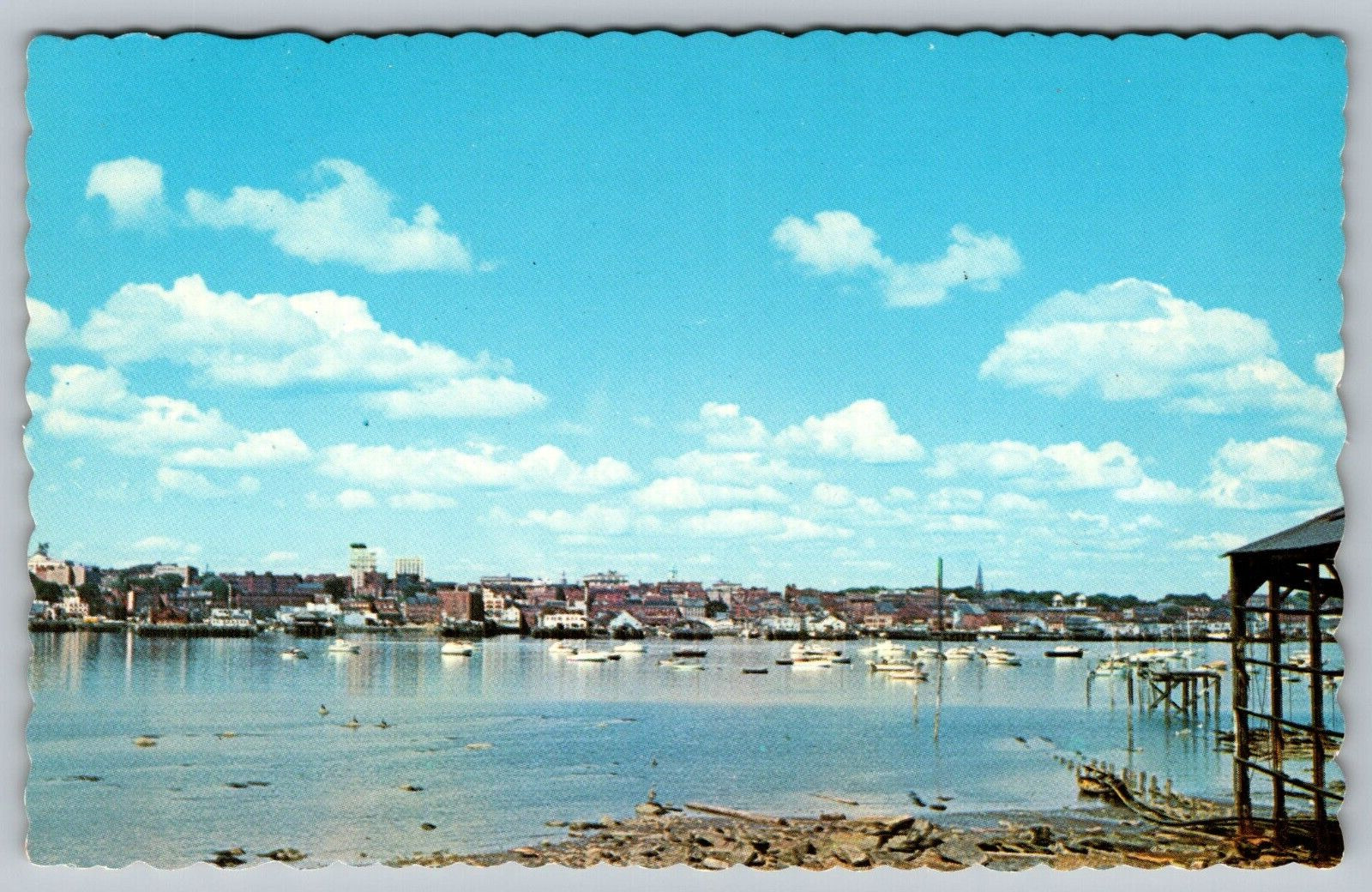 Postcard View Portland Maine\'s Largest City From Across The Harbor VTG c1960  I3
