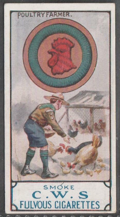 CWS Boy Scouts, Fulvous Cigarettes, 1912, No 22, Poultry Farmer (very rare)