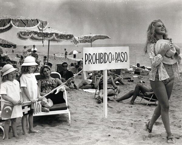 Ann-Margret walks on Malaga beach 1965 The Pleasure Seekers 24x30 inch poster