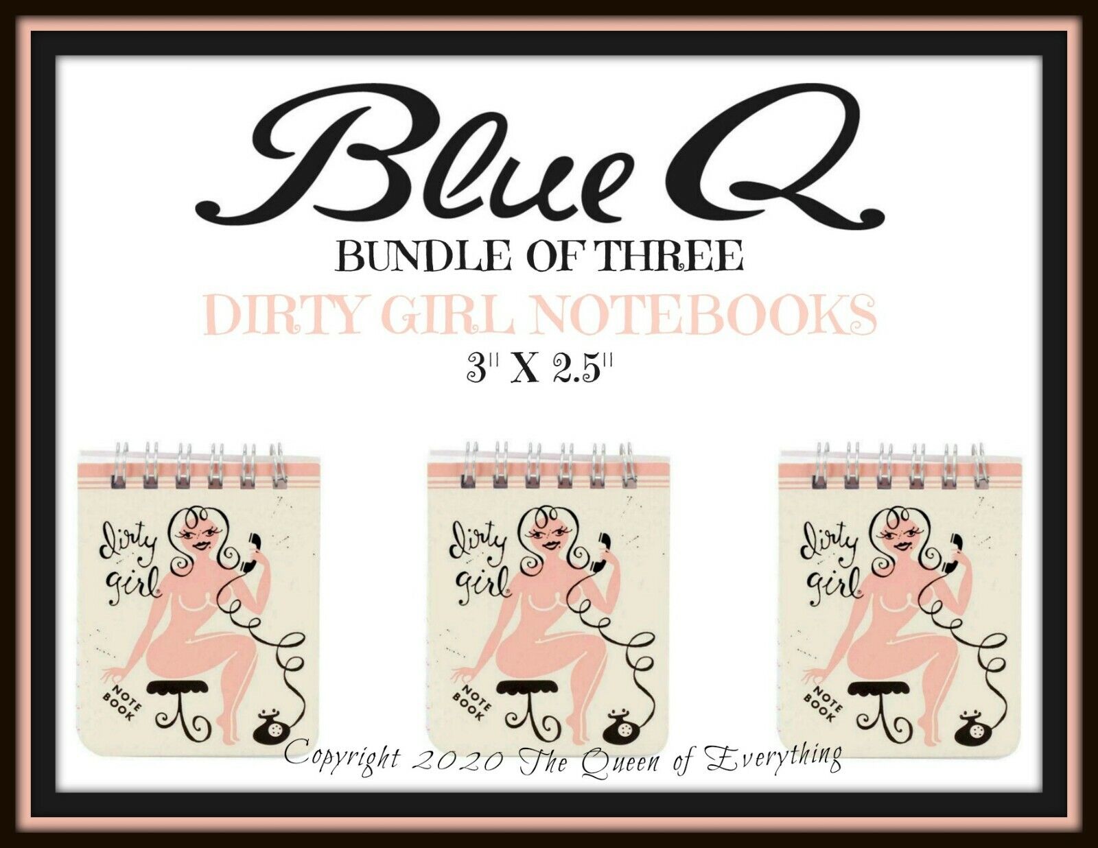 Blue Q Dirty Girl Notebooks Bundle of Three Retired Design Buy More & SAVE