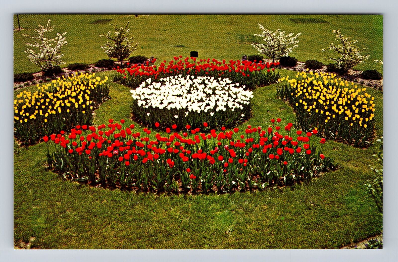Troy MI-Michigan, White Chapel Mem. Cemetery, Flower Garden Vintage Postcard