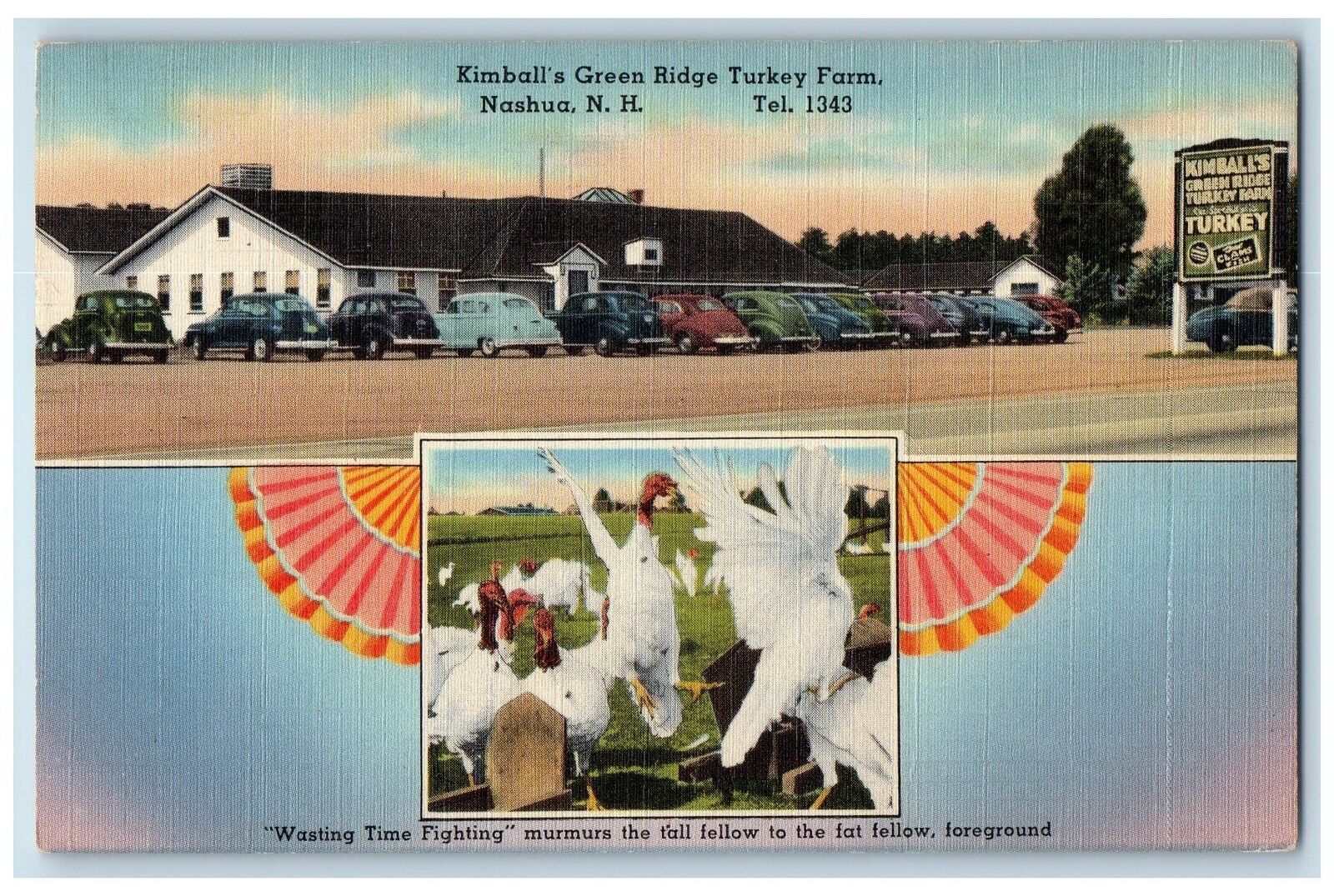1950 Kimball\'s Green Ridge Turkey Farm Nashua NH Posted Vintage Cars Postcard