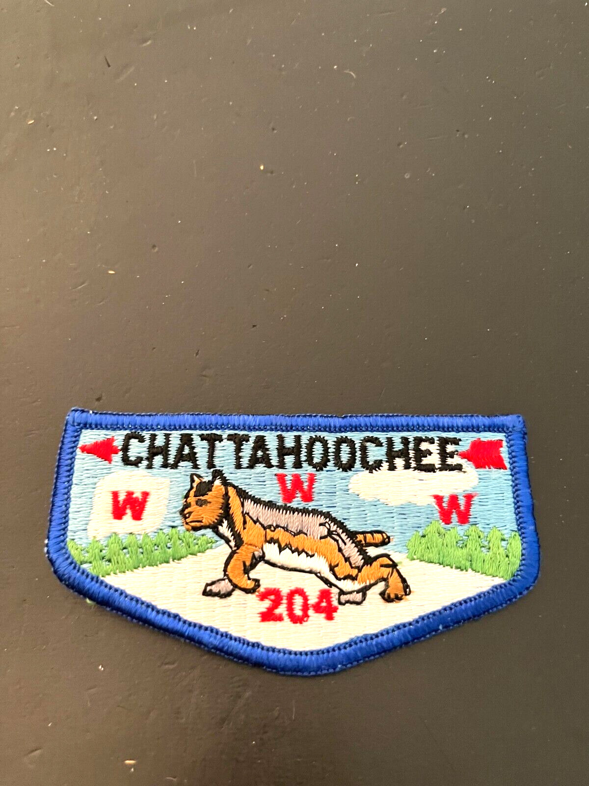 A CHATTAHOOCHEE LODGE 204 S10a FLAP