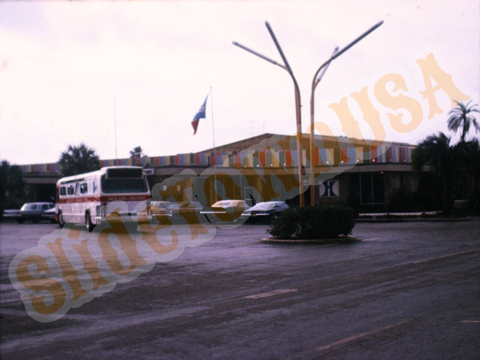 Vtg 1974  110 Slide Grey Line Bus Hilton Hotel Orlando FL X1A191