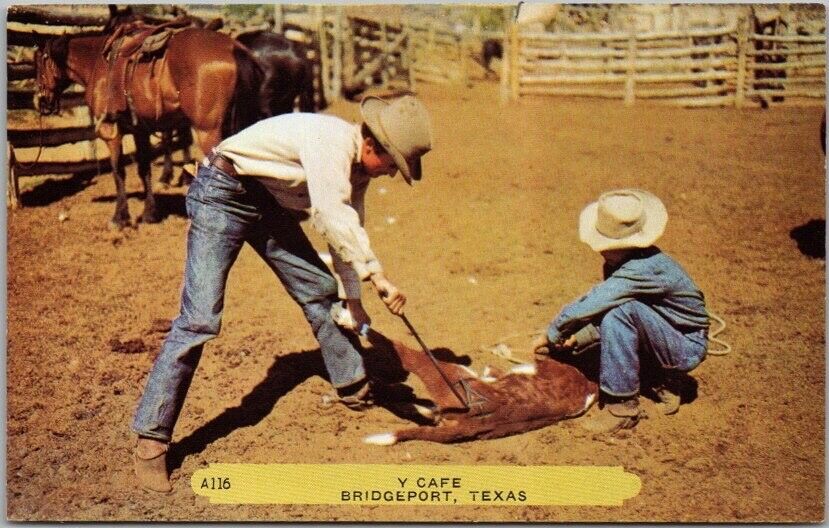 1950s BRIDGEPORT, Texas Postcard 