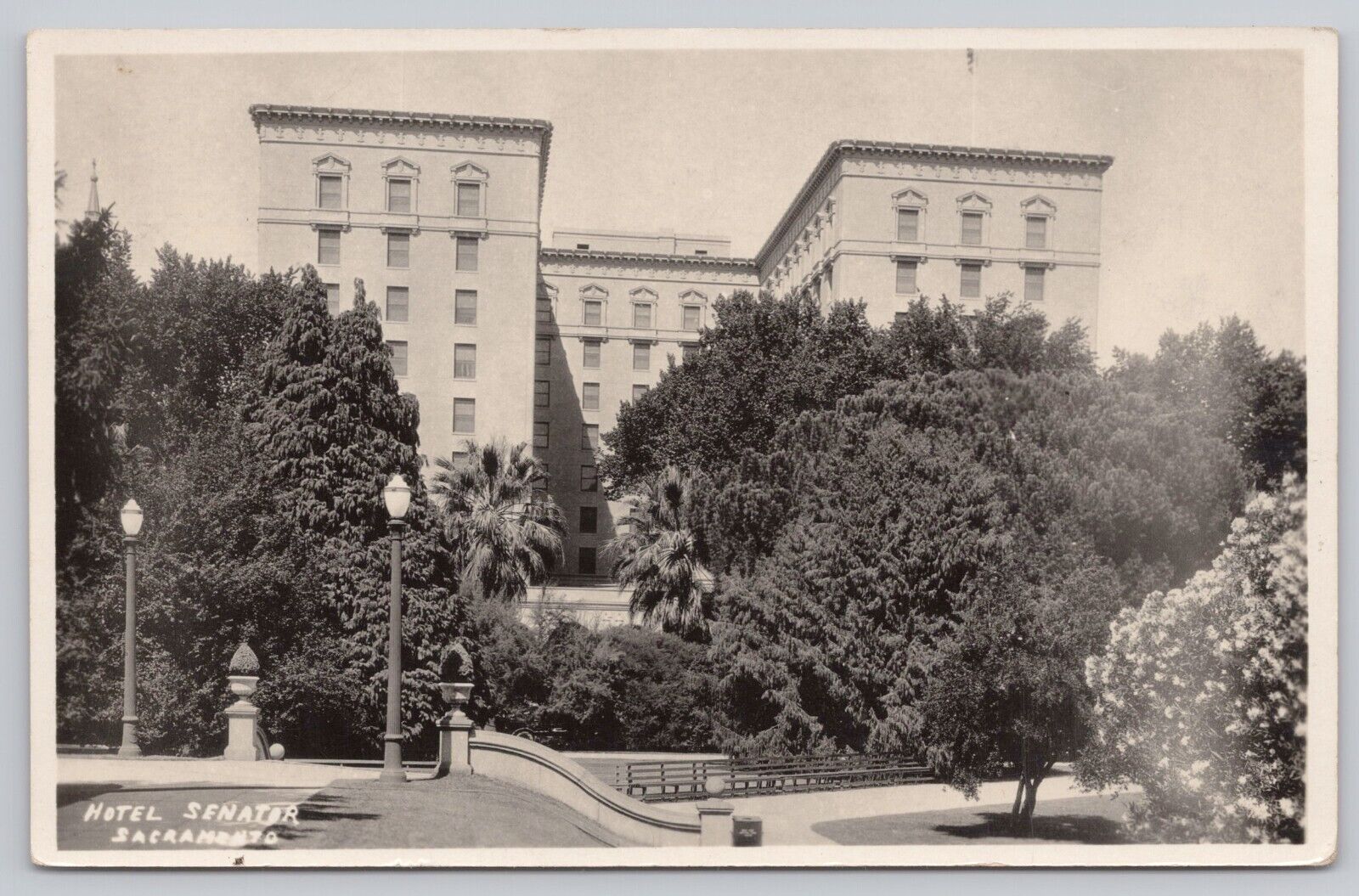 Sacramento California, Hotel Senator, Vintage RPPC Real Photo Postcard