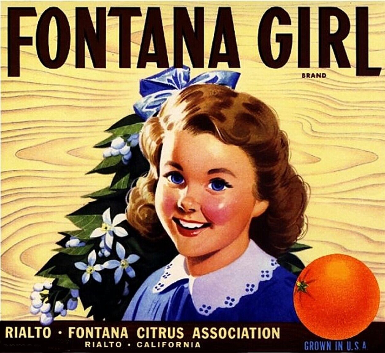 Rialto Ca Fontana Girl Orange Citrus Fruit Crate Label Art Print  