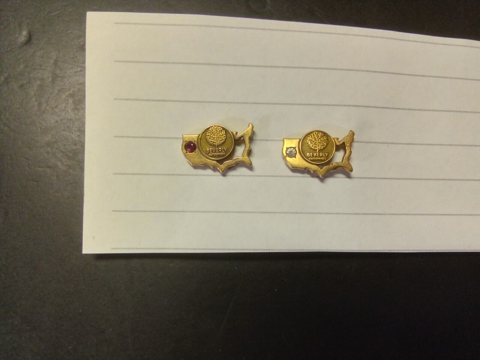 2 Vintage Beverly Enterprises 10K Gold Emblem Pins