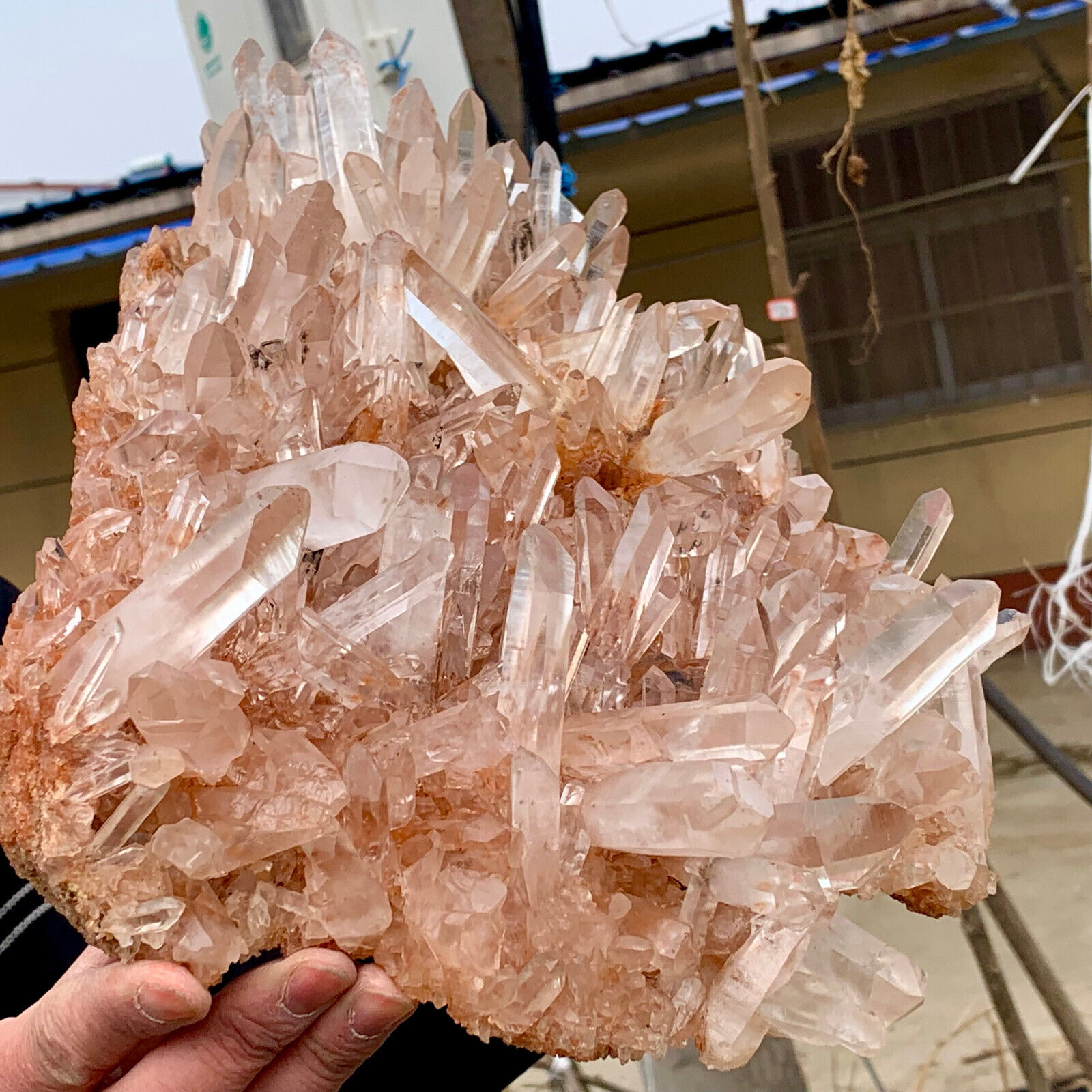 15.18LB A+++Large Natural white Crystal Himalayan quartz cluster /mineralsls