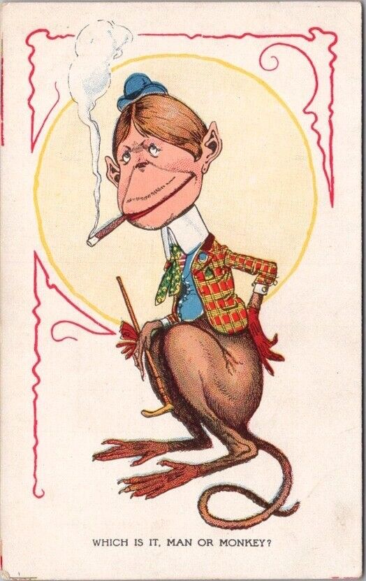 Vintage 1910s Animal Comic Postcard Chimp \