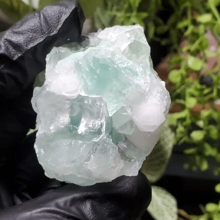 122g Fluorite - Gorgeous Lime Apple Green Clear Crystals Cubes On Matrix Em09