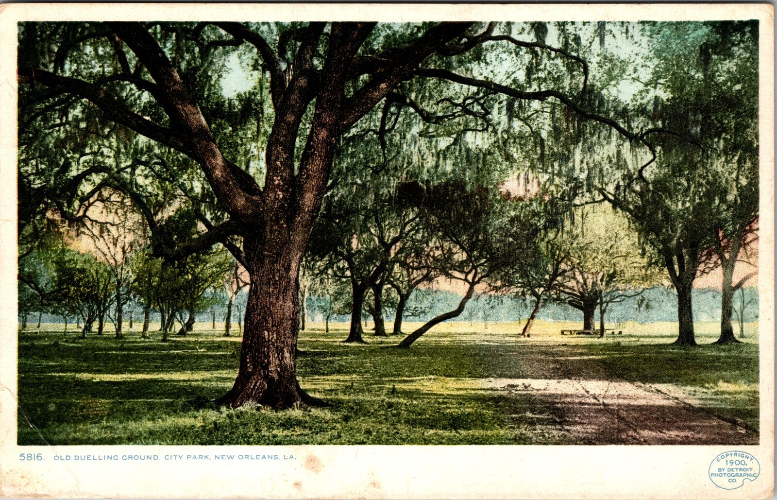 New Orleans LA-Louisiana, Old Dueling Ground City Park, c1909 Vintage Postcard