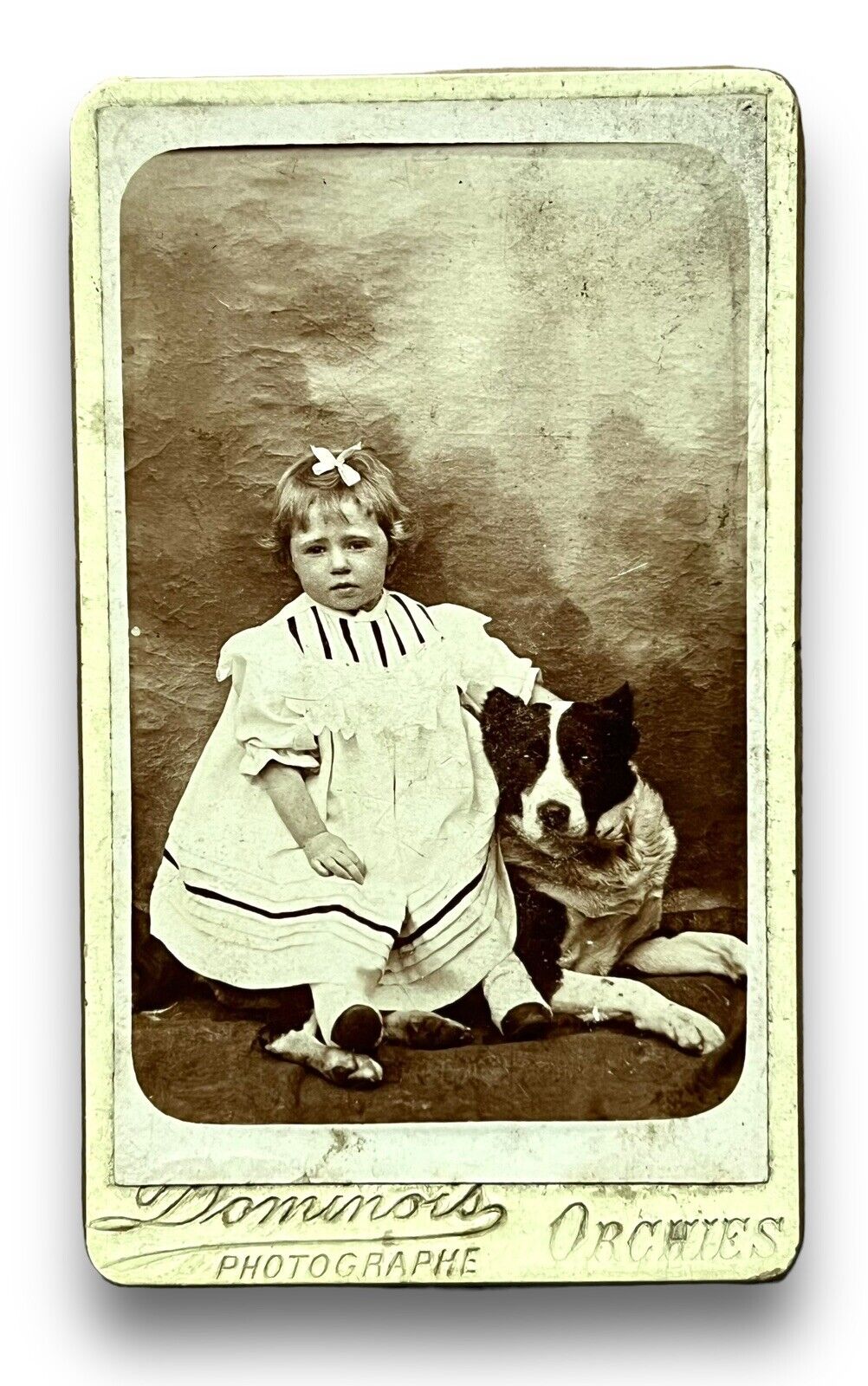 Antique CDV Young Girl With Dog Identified