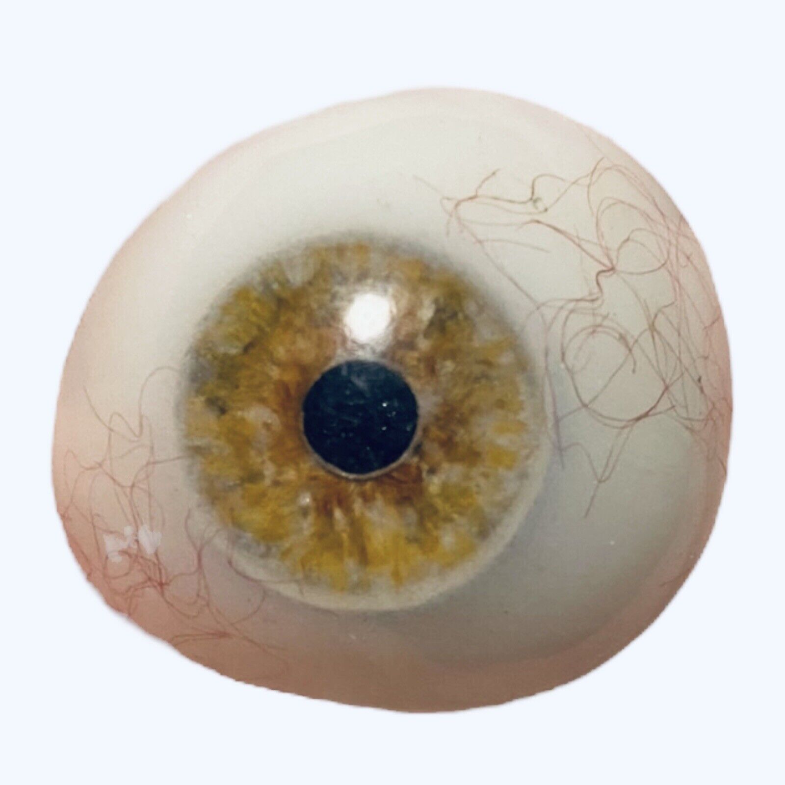 Vintage Detailed Hazel Light Brown Artificial Prosthetic Eye Ocular Prosthesis