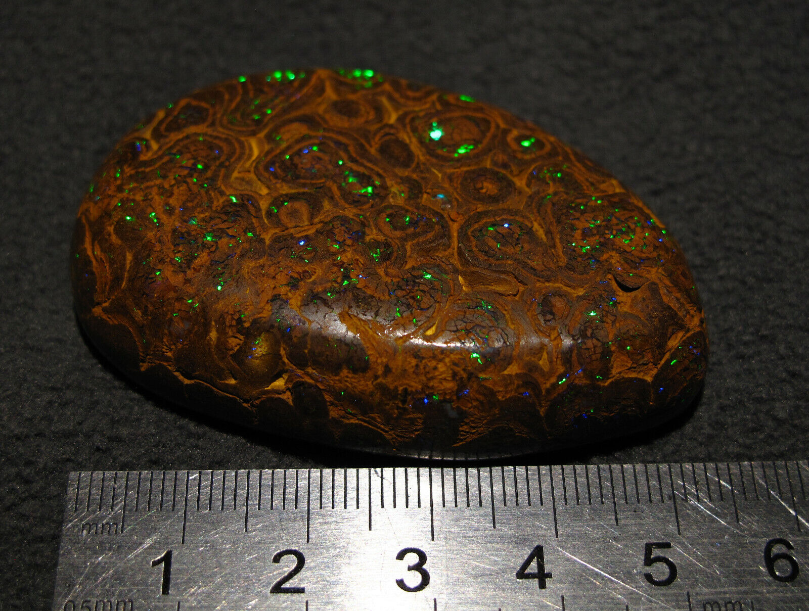 Stunning Bright Emerald Green Violet Boulder Opal Specimen See VIDEO 283 carats 