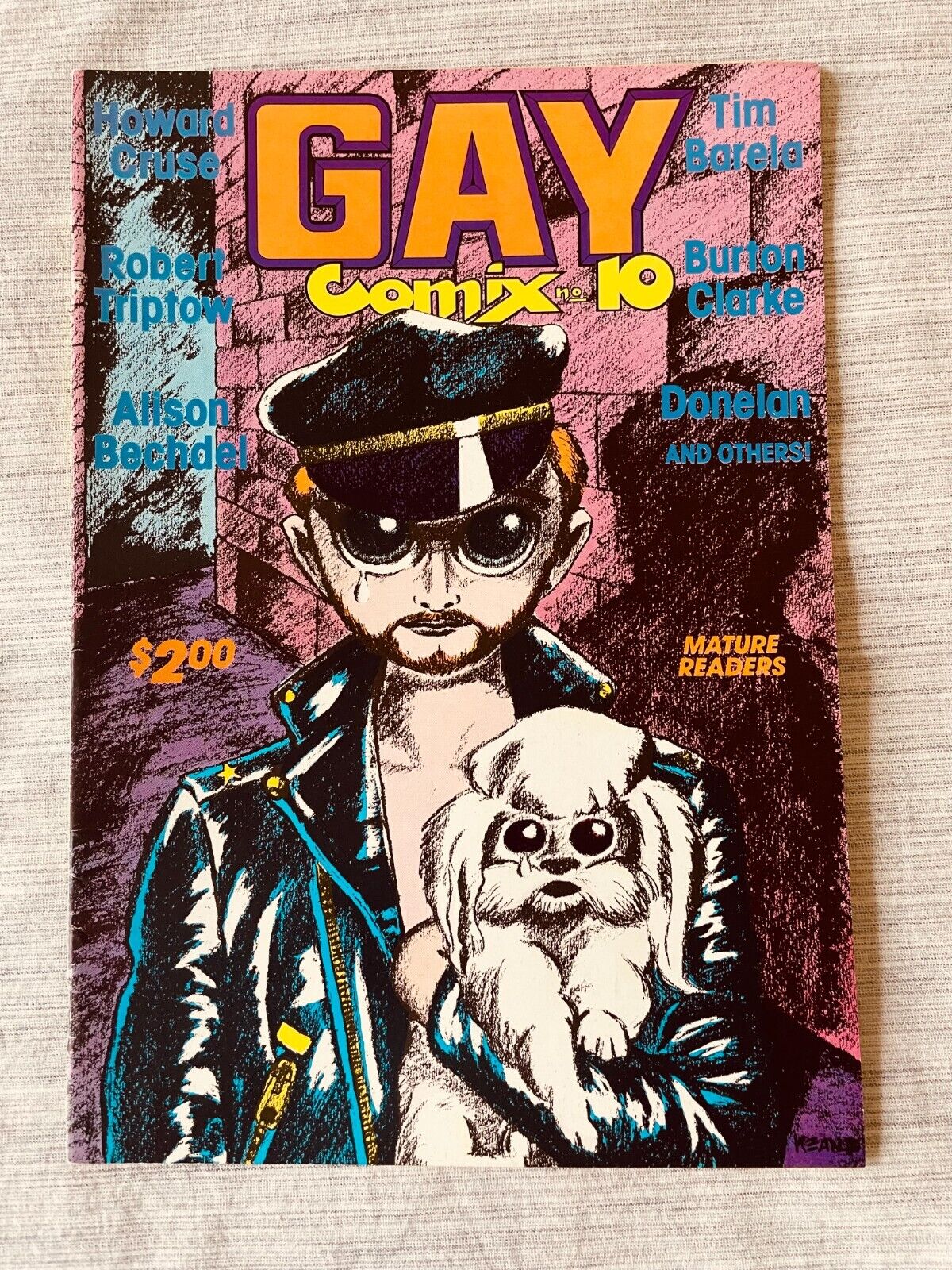 Gay Interest Comics- Gay Comix #10