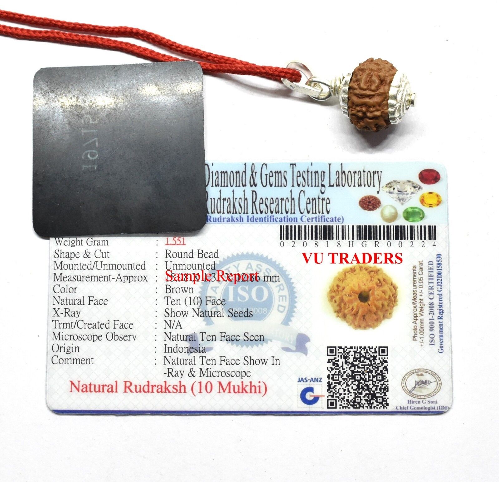 10 Mukhi Rudraksha  / Ten Face Rudraksh Java Bead Lab Certified Size 14-16 MM T