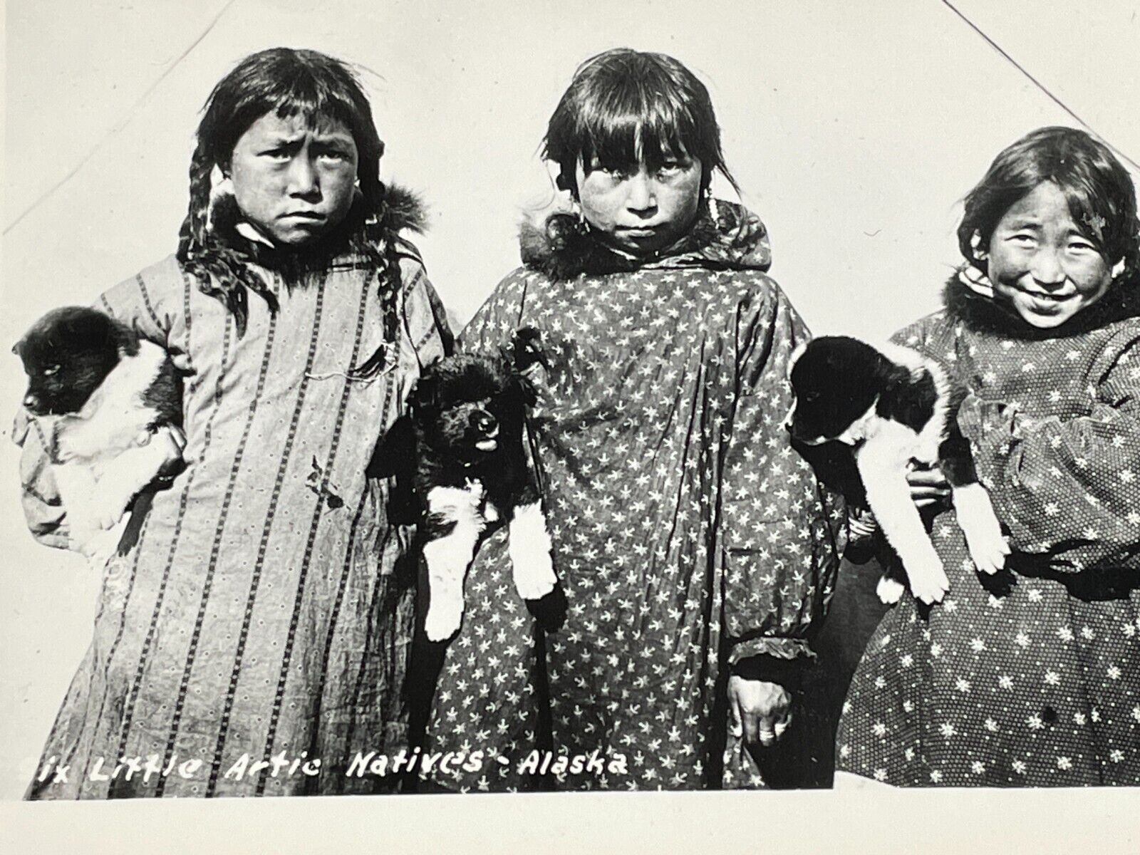 Z4 Photograph 6 Arctic Natives Alaska Girls Holding Puppies Puppy
