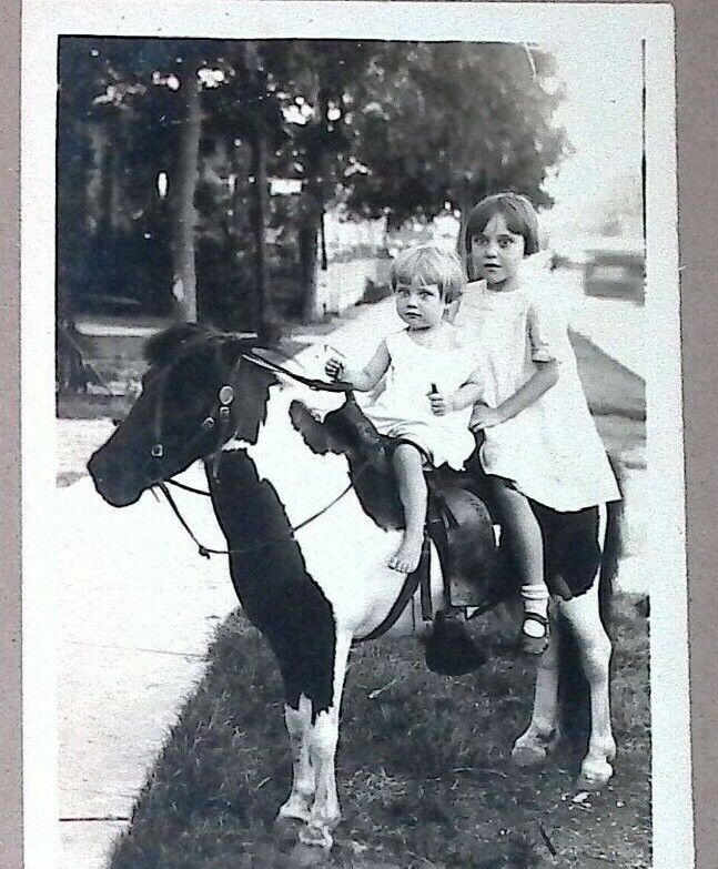 C1926 Photo Girls On Pony Horse Named ID Bertha Margaret Neutze Child  C23