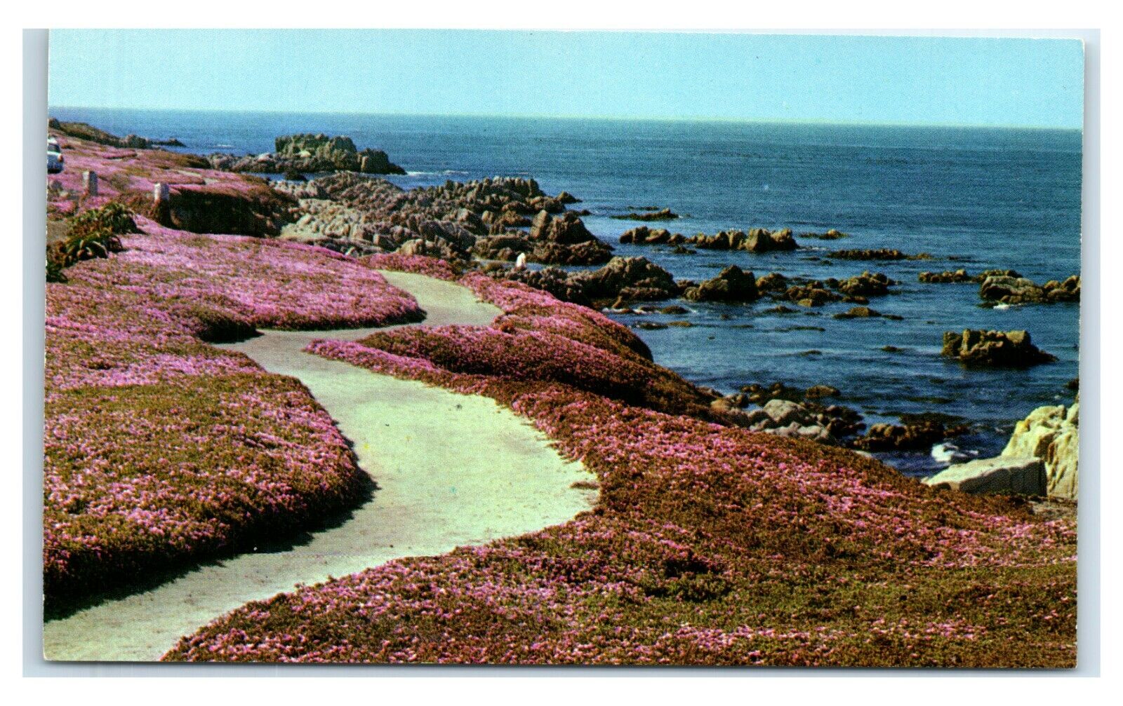 Postcard Pacific Coast Line E60
