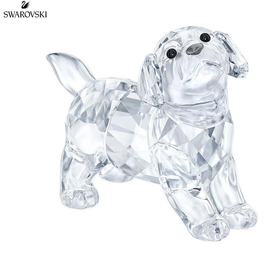 NIB Authentic Swarovski Labrador Puppy Standing Crystal Clear Figurine #5400141