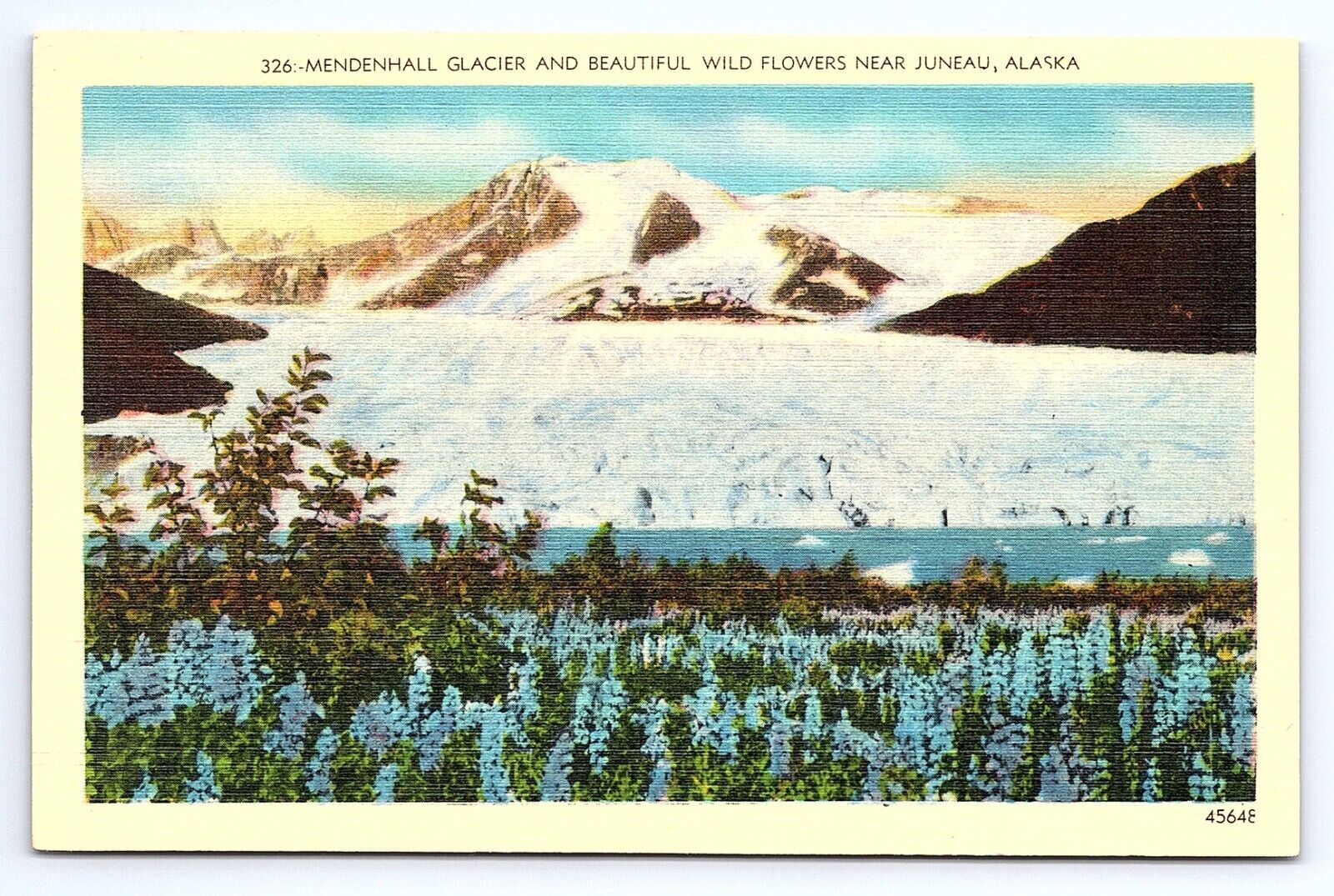 Postcard Mendenhall Glacier & Wild Flowers Near Juneau Alaska AK