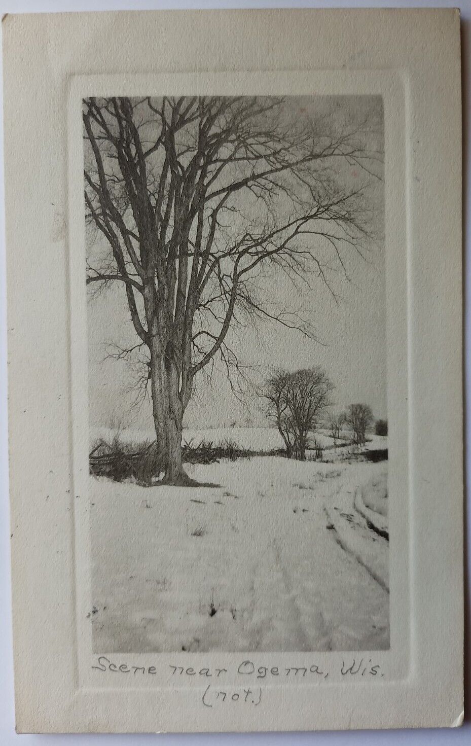 1912 Postcard Nature Scenery Covered with Snow in Ogema Wisconsin Posted Antique