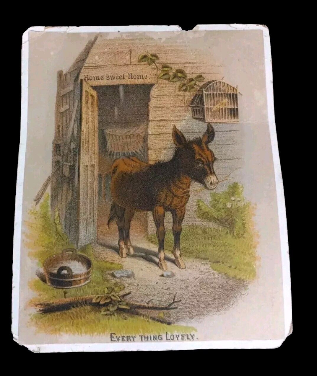 2 DONKEY 1800s Victorian Buffords Trade Cards HOME SWEET HOME 