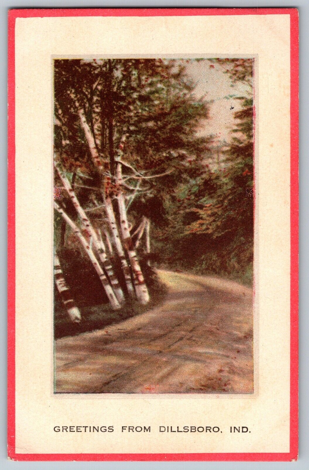 Dillsboro, Indiana IN - Greetings - Forest Drive - Vintage Postcard - Posted