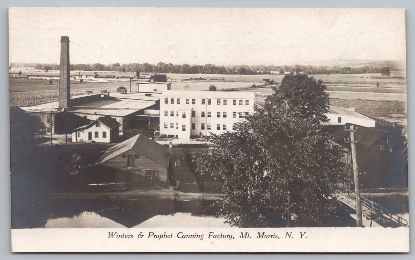 Postcard Winters & Prophet Canning Factory Mt. Morris New York *A1504