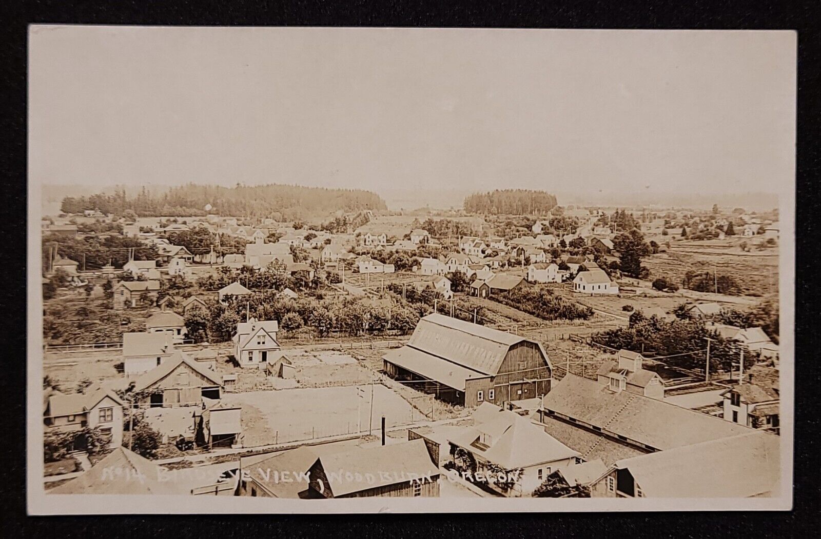 Spectacular RPPC Birdseye View of Woodburn, Oregon. C 1910\'s-20\'s 