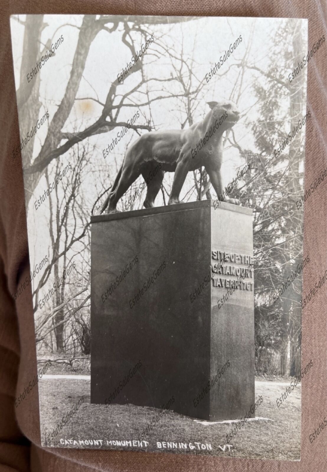 Vintage / Antique RPPC Bennington Vermont Catamount Monument Real Photo Postcard
