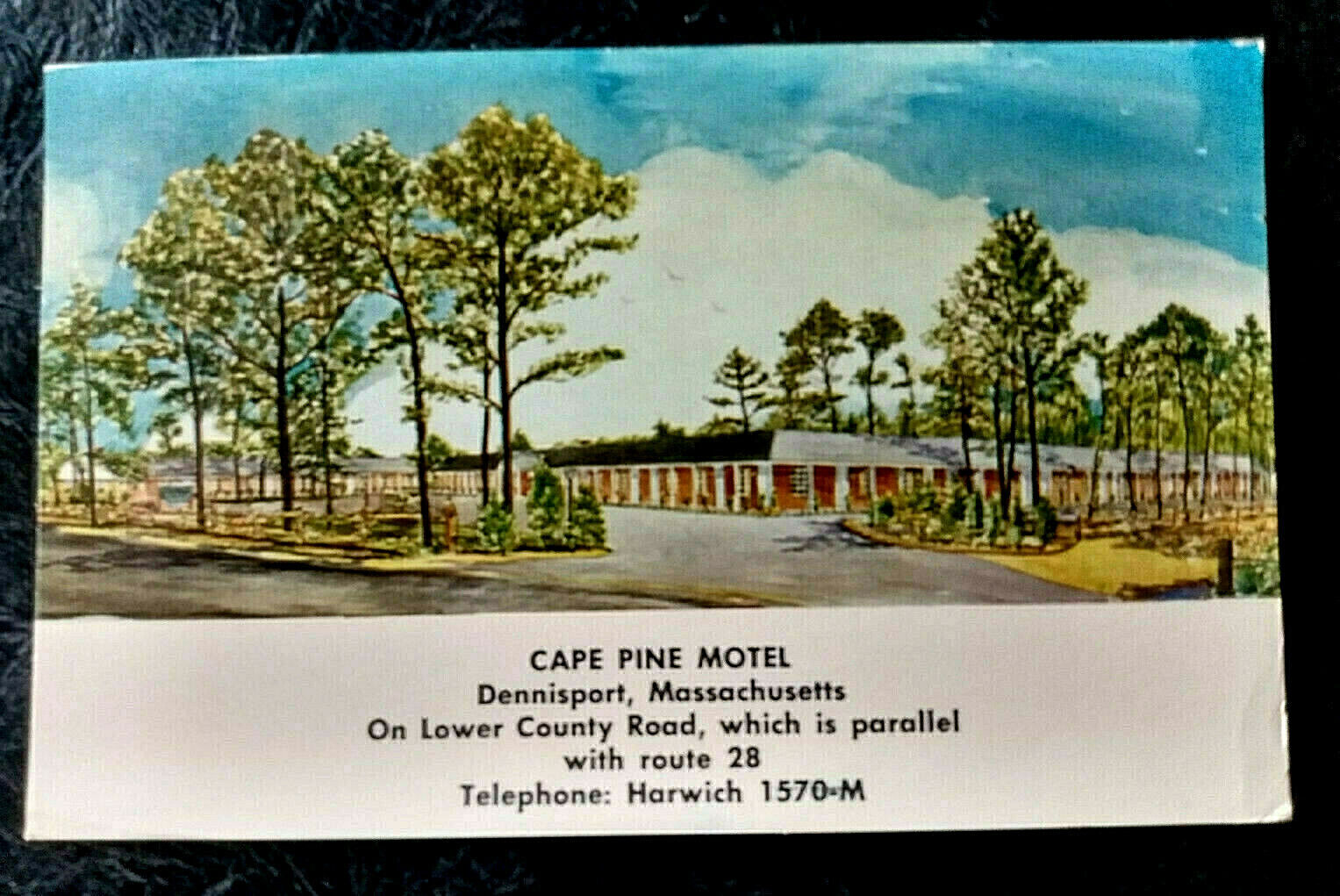 Dennisport MA  postcard : Cape Pine Motel 1955 West Dennis cancel