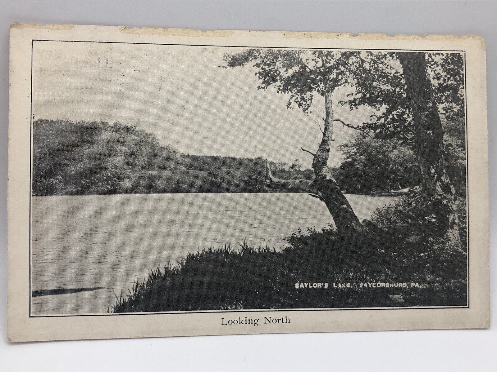 Postcard Saylorsburg Pennsylvania Saylors Lake Posted