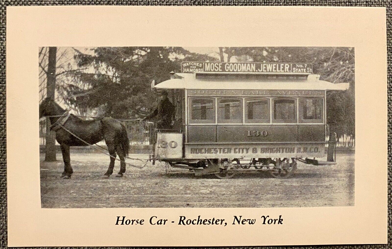 Vtg Postcard Trolley Car Moose Goodman Jeweler Horse Car Rochester New York