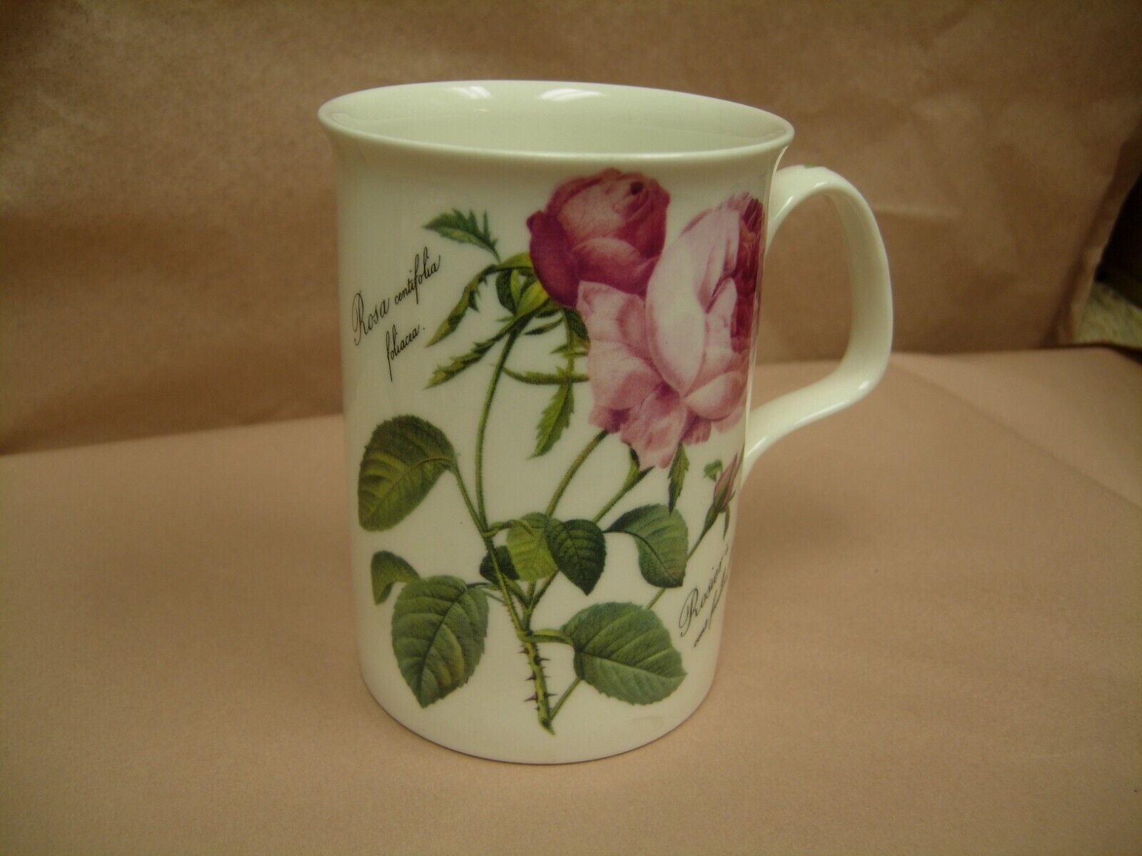 1996 Roy Kirkham REDOUTE\' ROSES Coffee Tea Cup Mug English Bone China BEAUTIFUL