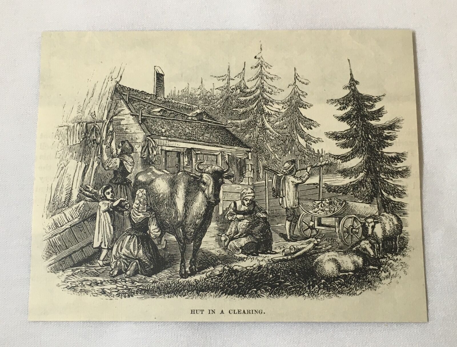 1876 magazine engraving~ HUT IN A CLEARING IN SWEDEN family and cow