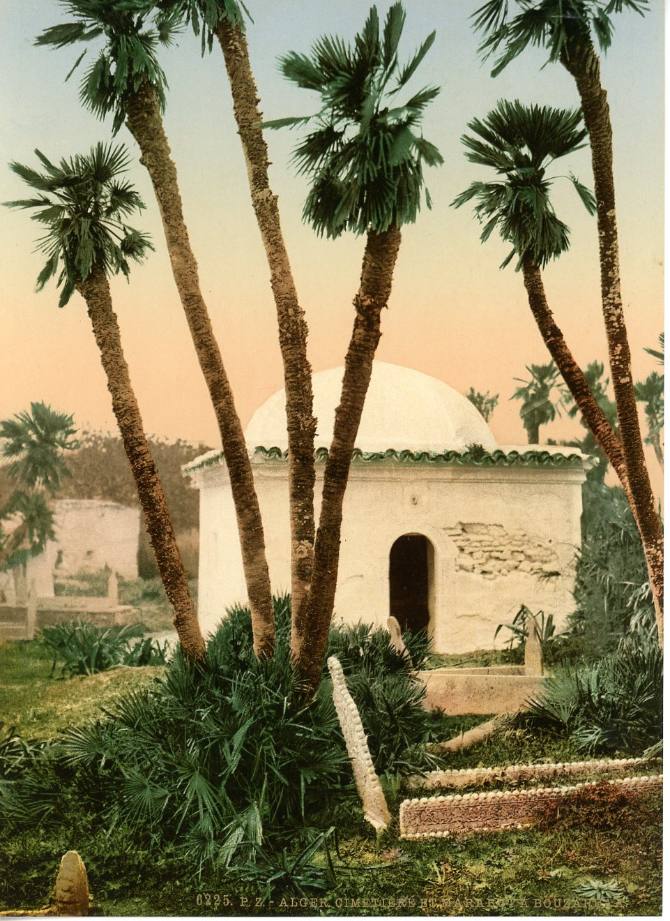 Algiers. Cemetery and Marabout in Bouzaraa.  Vintage Photochromie PZ, Algeria ph