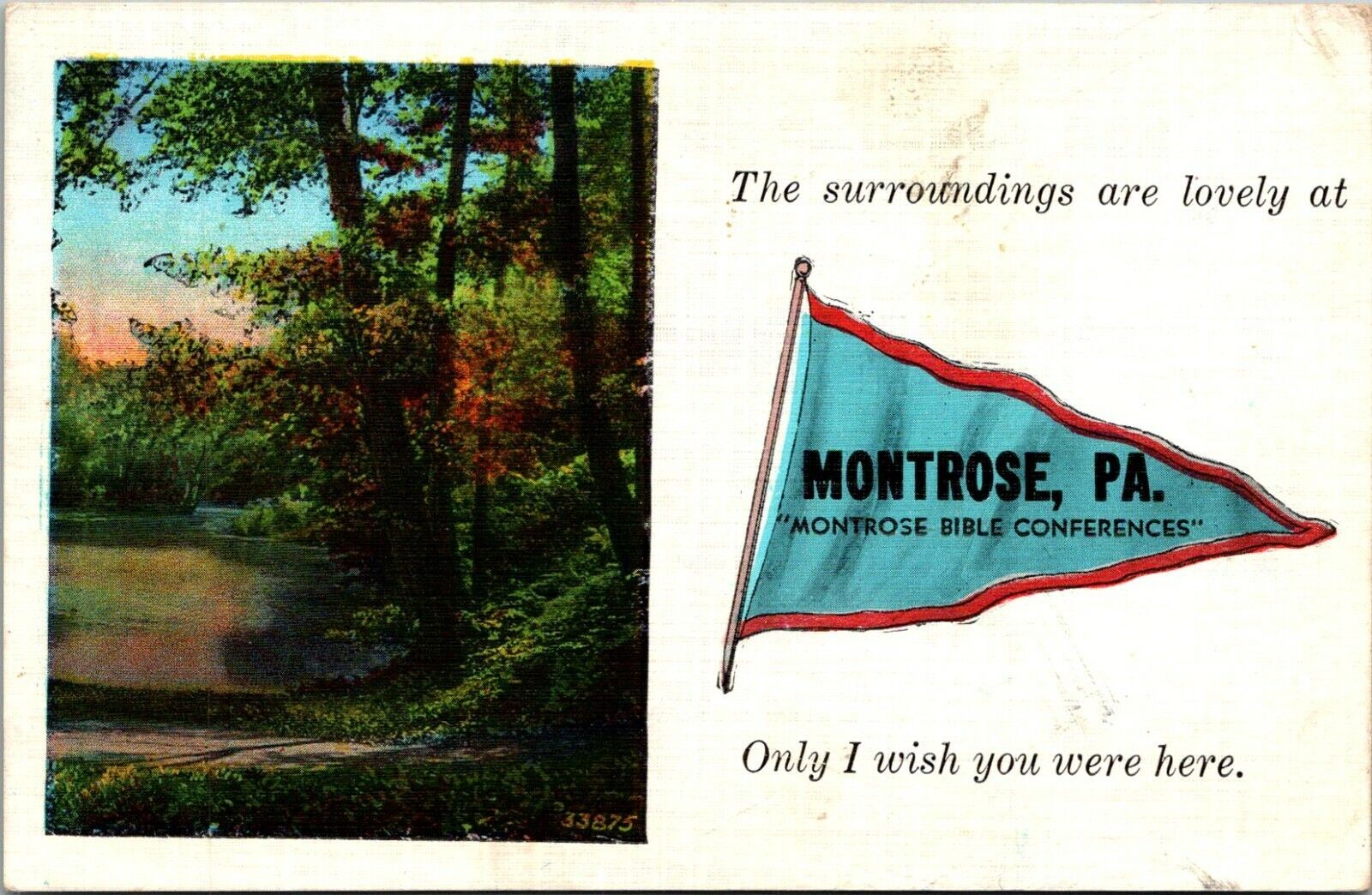 The surroundings are lovely at Montrose PA Only I wish you were here Postcard
