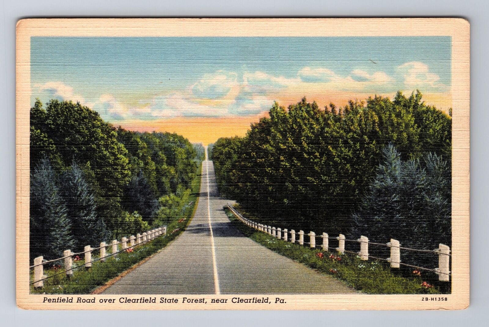 Clearfield PA-Pennsylvania, Penfield Road, Clearfield St Forest Vintage Postcard