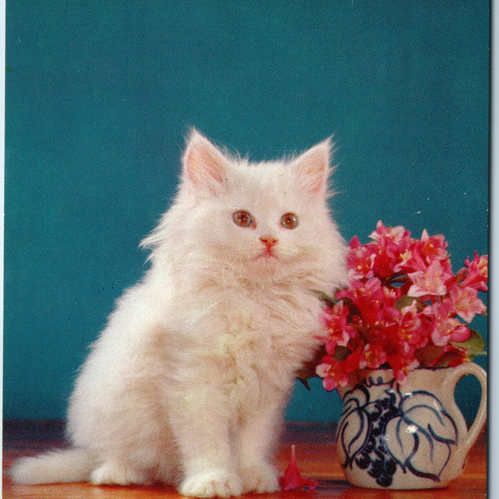 c1960s Adorable Kitty Kat Cute White Cat Little Kitten Fancy Fur Flower Vtg A227